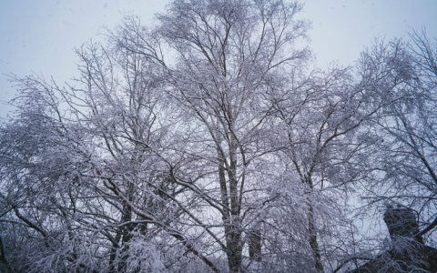 Синоптики рассказали о погоде в Саранске на 9 декабря