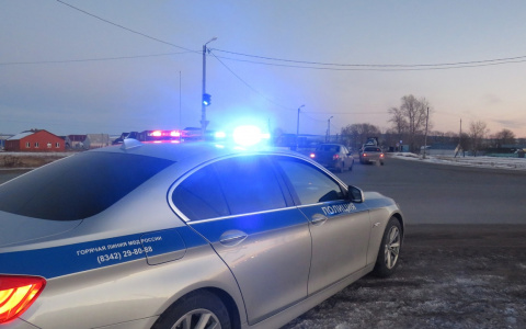 В Мордовии пьяный водитель пытался доказать патрульным свою трезвость