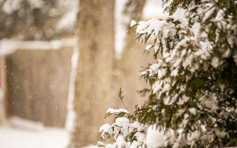 Синоптики рассказали о погоде в Саранске на 14 декабря