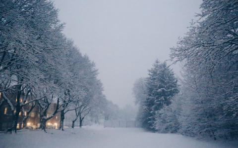 Синоптики рассказали о погоде в Саранске на 15 декабря
