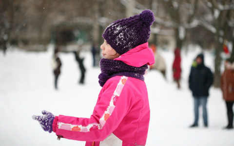 Зимние каникулы в школах Мордовии начнутся с 28 декабря