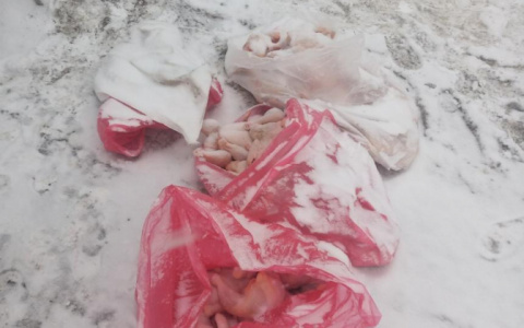 В Мордовии работников птицефабрики подозревают в краже 30 тушек цыплят-бройлеров