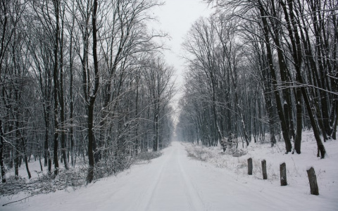 Синоптики рассказали о погоде в Саранске на 23 декабря