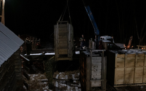 В Мордовский заповедник привезли зубров из Муромского заказника