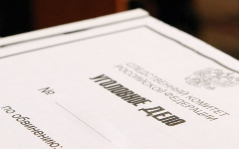 «Решили покататься»: Двое подростков из Мордовии ответят за угон грузовой «ГАЗели»