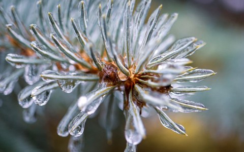 Жителей Мордовии предупреждают о ледяном дожде