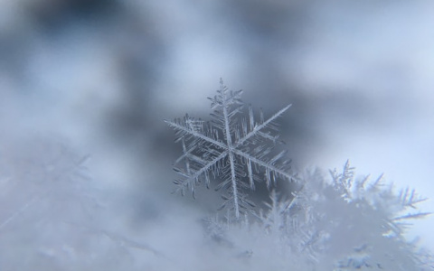 Синоптики рассказали о погоде в Саранске на 31 декабря