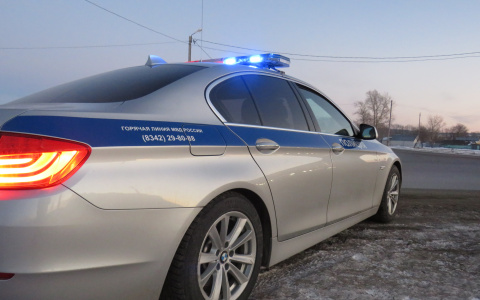 Сотрудники ГИБДД предупредили жителей Мордовии о рейдах в новогодние праздники