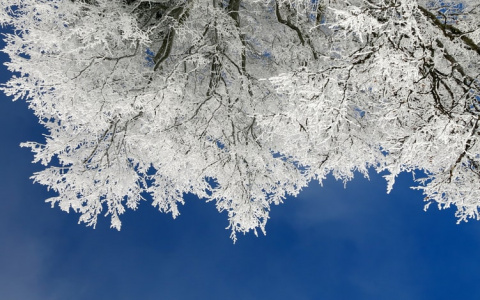 Синоптики рассказали о погоде в Саранске на первое января