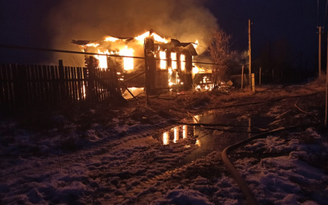Трагедия в первый день Нового года: В Мордовии при пожаре погиб пенсионер