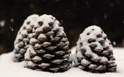 Синоптики рассказали о погоде в Саранске на 10 января