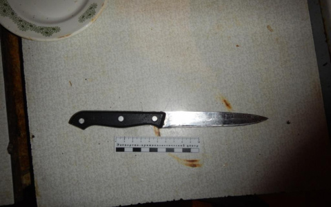 Арестован житель Саранска, который пытался убить свою сожительницу