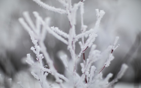 Синоптики рассказали о погоде в Саранске на 27 января