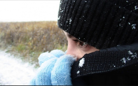 Утепляемся: в Мордовию резко придут морозы