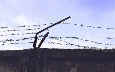 В Мордовии поймали мужчин, которые нарвали в поле почти 2 килограмма наркотиков