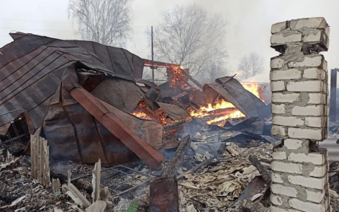 В Мордовии жуткий пожар оставил пенсионерку без крыши над головой