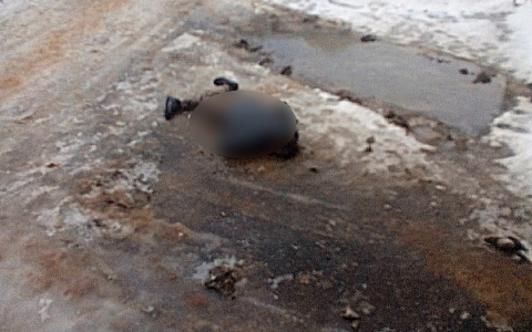 Очевидцы: в Саранске под окнами жилого дома обнаружили тело мужчины