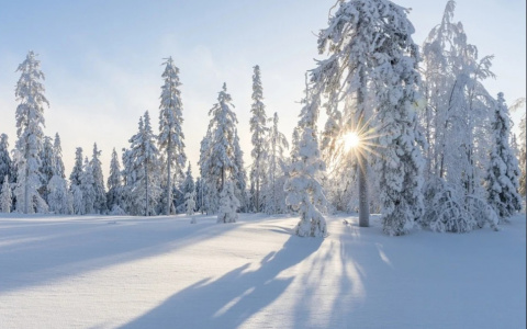 Мороз и солнце: прогноз погоды в Саранске на 16 февраля