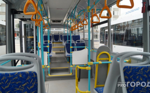 В Госдуме решили, как поступать с детьми-безбилетниками