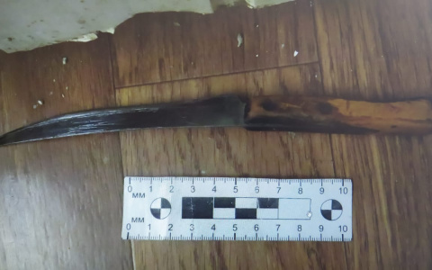 В Саранске задержали девушку, которая напала с ножом на мужчину