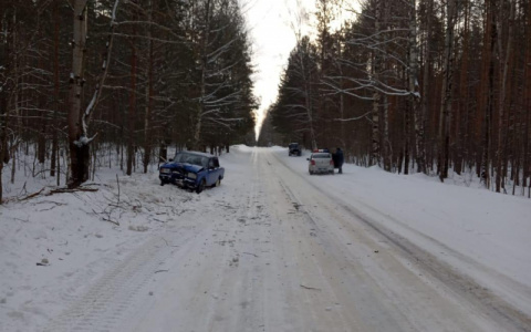 В Мордовии за последние сутки в ДТП пострадали два человека