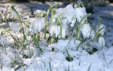 Прогноз погоды в Саранске на 26 февраля