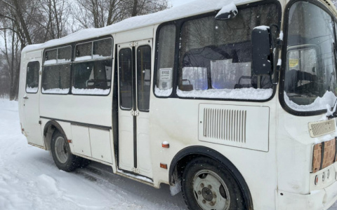 В Саранске ПАЗик устроил тройное ДТП, в котором пострадала женщина