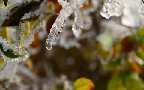 Прогноз погоды в Саранске на 27 февраля