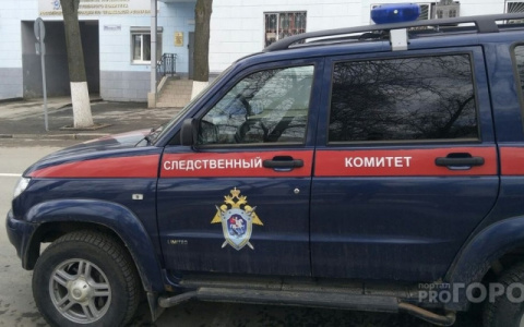 Житель Мордовии забил насмерть молодую девушку