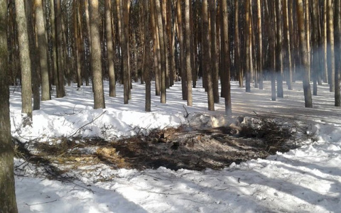 В Темниковском районе Мордовии начали работы по благоустройству парка