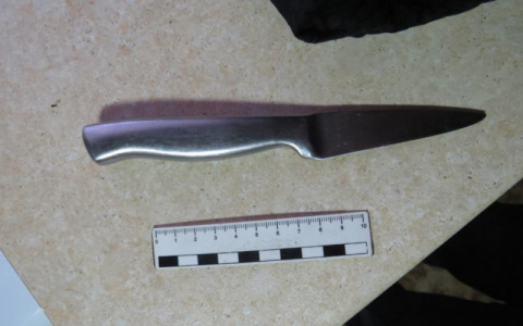 Жительница Мордовии напала на сожителя с ножом, который у него и отняла