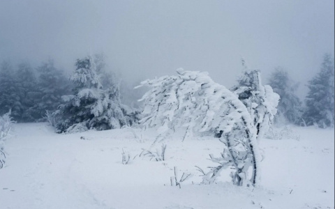 Внимание: в Саранске объявлено оперативное предупреждение