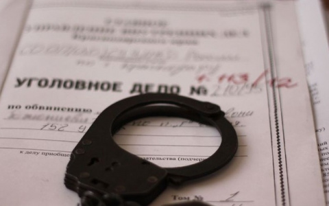 Жителя Мордовии предстанет перед судом за похищение женской сумки