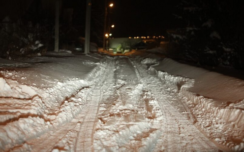 В Мордовии Алексея Логутенкова оштрафовали за плохо очищенные от снега дороги