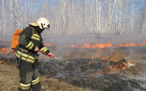МЧС по Мордовии готовится к весенне-летнему пожароопасному периоду