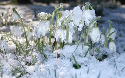 Синоптики рассказали о погоде в Саранске на предстоящую рабочую неделю