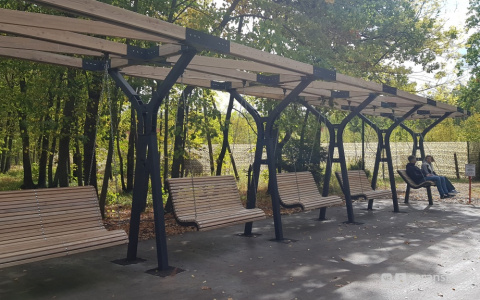 Определили генподрядчика строительства парка на Бибиной в Саранске