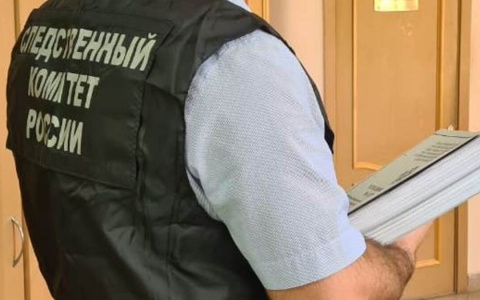 В Мордовии СК будет проверять работу руководителя организации "Особые дети"