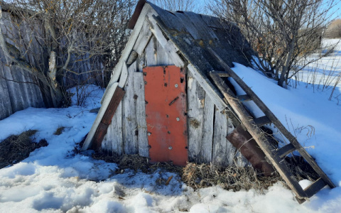 В Мордовии мужчина несколько месяцев крал у односельчанина картошку