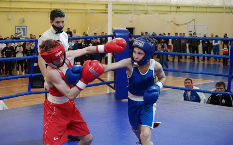 В Саранске на первенстве ПФО по боксу свои силы показывают будущие звезды
