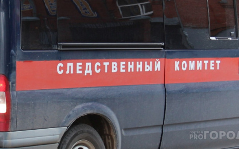 Тела младенцев нашли на свалке в Волгограде: следователи начали проверку