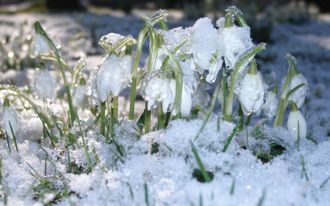 Синоптики рассказали о погоде в Саранске на предстоящие выходные