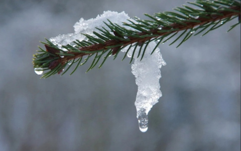 Наконец-то тепло: синоптики рассказали о погоде в Саранске на предстоящую неделю