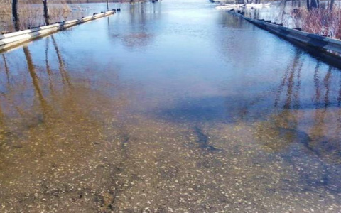 В Ромодановском районе из-за паводка утонул мужчина