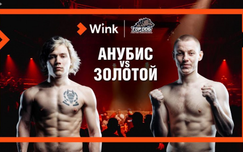 16 апреля Wink эксклюзивно покажет турнир кулачных боев TOP DOG