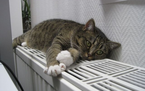 Стало известно, когда завершится отопительный сезон в Саранске