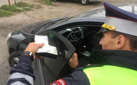 В Мордовии сотрудниками Росгвардии был задержан нарушитель ПДД