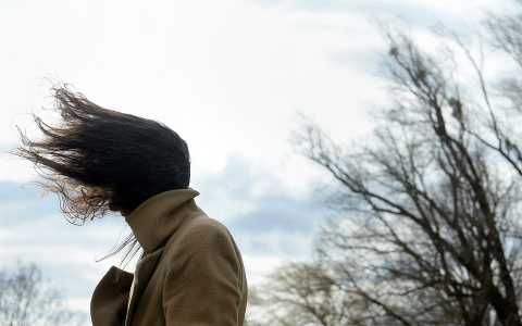 20 апреля в Мордовии ожидается усиление ветра