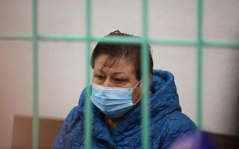 В Мордовии подозреваемая в превышении полномочий замминистра Нина Иняткина отправлена под домашний арест