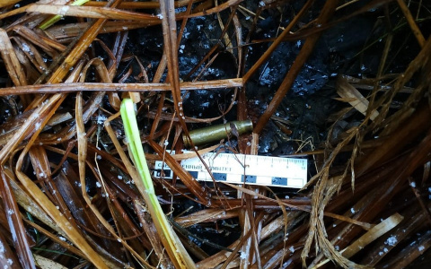 В Мордовии будут судить мужчину, застрелившего знакомого во время охоты